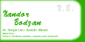 nandor bodzan business card